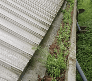 Happy customers in Barton-le-Clay who trust The Roof Moss Cleaners for gutter cleaning services